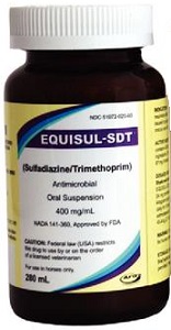 Equisul-Sdt Oral Suspension 400Mg/ml 280ml By Aurora Pharmaceutical LLC