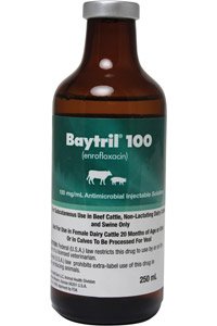 Baytril 100 Inj Non-Returnable 250cc By Bayer