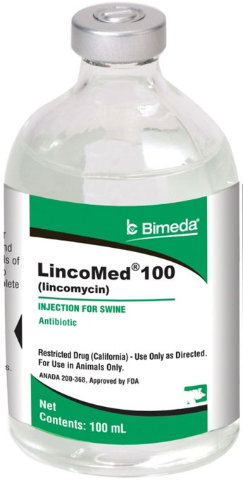 Lincomed 100 Inj [Lincomycin Hcl] 100cc By Bimeda Pet