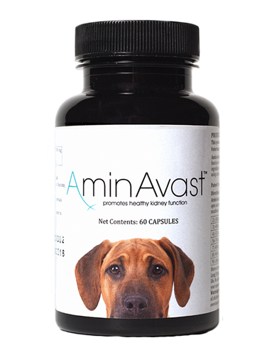 Aminavast Canine 1000mg 20+Lbs B60 By Bio Health Solutions