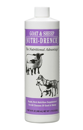 Nutri Drench For Sheep Goat Pt By Bovidrx Laboratories