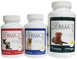 Derma 3 Softgel Caps For Large Breed Private Labeling Non-Returnable (Sold A