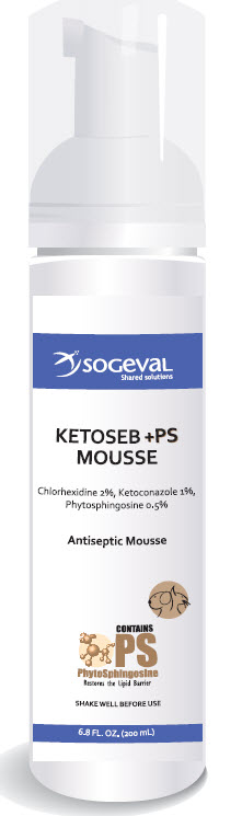 Ketoseb Mousse Ps Private Labeling Non-Returnable (Sold As 12-Pack Case) 200