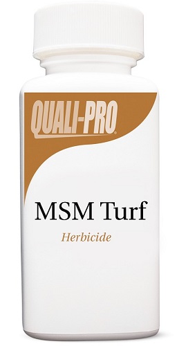 MSM Turf 2 oz By Control Solutions