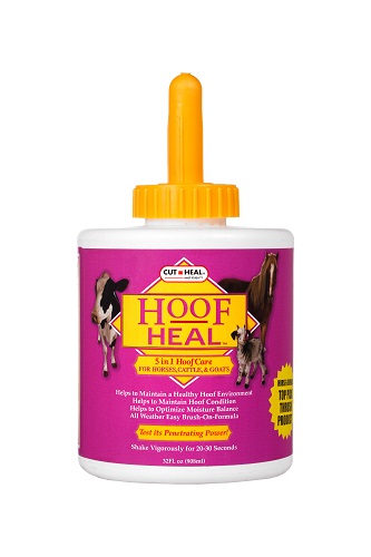 Hoof Heal 32 oz By Cut Heal