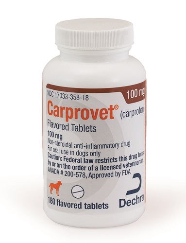 Carprovet Flavored Tabs 100mg B180 By Dechra Veterinary Products