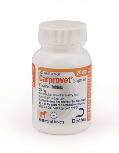 Carprovet Flavored Tabs 25mg B60 By Dechra Veterinary Products