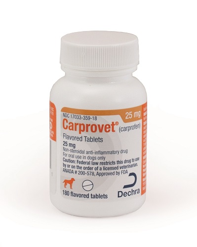 Carprovet Flavored Tabs 25mg B180 By Dechra Veterinary Products