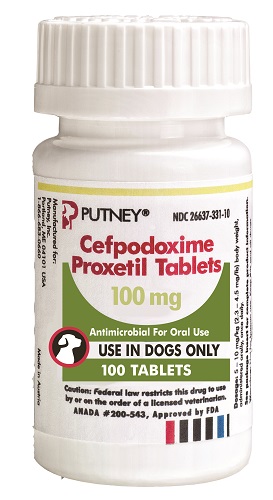 Cefpodoxime Tabs 100mg Scored - Vet Label B100 By Dechra Veterinary Products