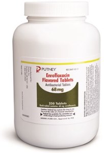 Enrofloxacin Tabs 68mg - Flavored B250 By Dechra Veterinary Products