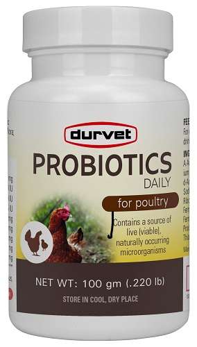 Probiotics Daily Poultry 100gm By Durvet