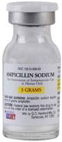 Ampicillin Injection 1gm (For Equine Use) - Sold By Each 10cc 10cc By G.C. Hanfo