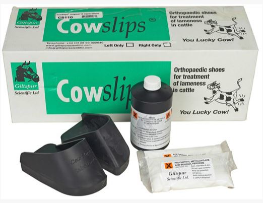 Cowslips Plus Kit - (10 Lefts) B10 By Giltspur Scientific Ltd