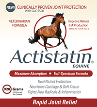 Actistatin Equine Powder 928G By Glc Direct