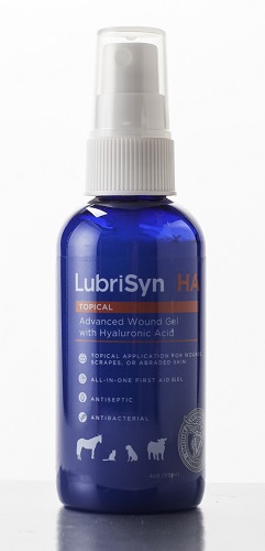 Lubrisyn Ha Advanced Wound Gel W/ Hyaluronic Acid 4 oz By Halstrum LLC
