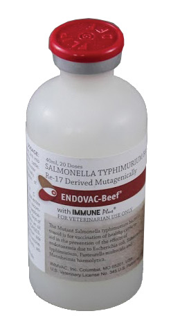 Endovac-Beef With Immuneplus [Salmonella Typhimurium] 20Ds By Immvac
