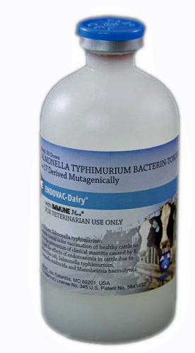 Endovac-Dairy With Immuneplus (Salmonella Typhimurium) 20Ds By Immvac