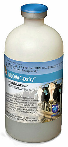 Endovac-Dairy With Immuneplus (Salmonella Typhimurium) 100Ds By Immvac