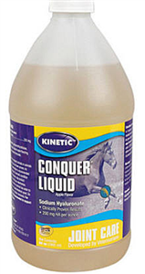 Conquer Liquid Gal By Kinetic Technologies