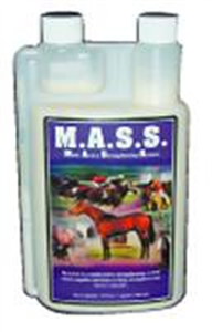 Mass - Multiactive Strength System (Liquid) Gal By Kinetic Technologies