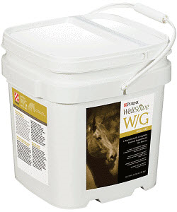 WellSolve W/G Well Gel Complete Supplement for Horses, 25lb By Purina Nutrition 