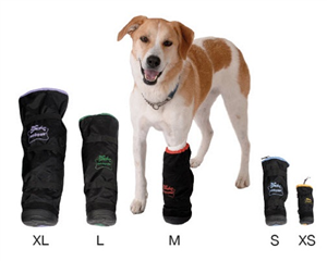 Medipaw X Protect Starter Pack (XS S M L XL) Each By Medivet