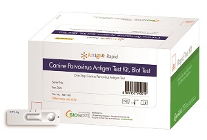 Anigen Canine Parvovirus Rapid Test Kit B10 By Modern Vet Therapeutics