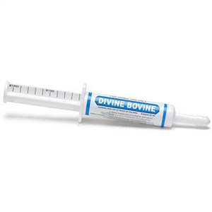Divine Bovine Syringe 34gm 34gm By Oral X