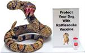 Rattlesnake Vaccine Display Each By Red Rock SPECIAL ORDER NON RETURNABLE ITEM