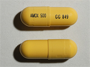 Amoxicillin Caps 500mg B100 By Sandoz 