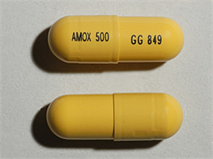 Amoxicillin Caps 500mg Bottle of  500 By Sandoz 