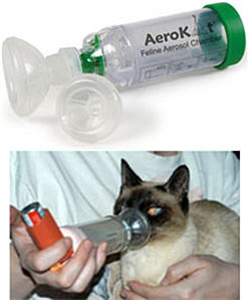 Aerokat Feline Aerosol Chamber (Small / Medium) Each By Trudell Medical