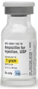 Ampicillin Injection 1gm 10cc By World Gen LLC
