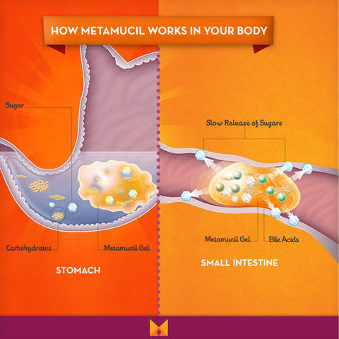 Metamucil Multihealth Fiber 260 Doses