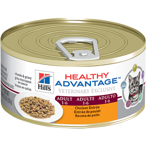 Healthy Advantage Feline Adult Chicken Entree 5.5 oz - - Healthy Advantage Chick