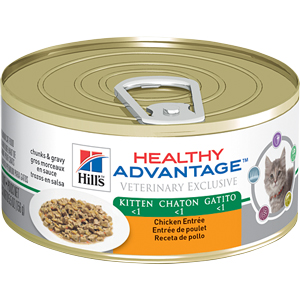 Healthy Advantage Kitten Chicken Entree 5.5 oz - - Healthy Advantage Chicken Ent