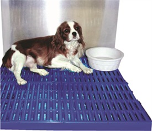 Paw Protector Cage Rack 21 X27.25 - (Fits 24 X28 Cage) Freight Cha By Weck