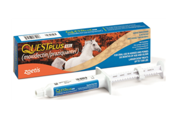 Case of 45-Quest Plus Gel Dewormer And Boticide For Horses 14.4gm By Zoetis