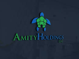 AMITY HOLDINGS LLC            
