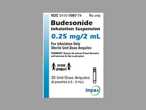 Rx Item-Budesonide 0.25MG/2ML 6X5X2 ML Ampoule by Amneal Pulmicort