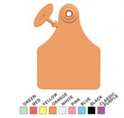 Global Large Female Ear Tag with Button, Numbered 51-75, Pink By Allflex(Vet)