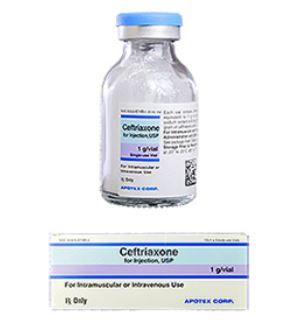 Ceftriaxone Injection 1gm One Vial By Apotex