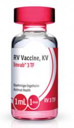 Imrab 3 Year TF (Thimerosal Free) Rabies Vacci By Boehringer Ingelheim Vetmedica