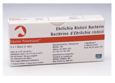 Equine Potomavac Ehrlichia Risticii Bacterin V By Boehringer Ingelheim Vetmedica