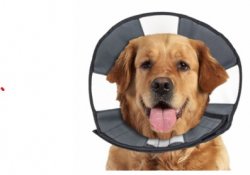 ZenCone Soft Recovery Collar X-Large (18-23) By Cs Tech Us