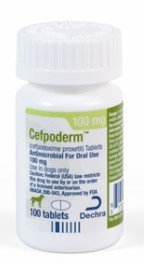 Cefpoderm (Cefpodoxime Proxetil) Antimicrobial Tablets for Dogs  By Dechra Veter
