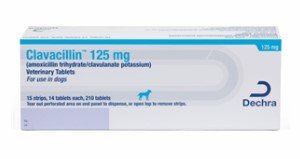 Clavacillin (Amoxicillin / Clavulanate Potassium) Veterinary Ta  By Dechra Veter