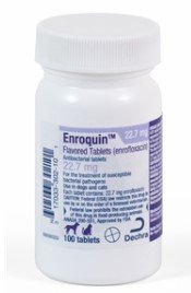 Enroquin (Enrofloxacin) 68mg Flavored Tablets, Antibacterial, 25 By Dechra Veter