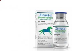 Zimeta (Dipyrone) Injection 500mg/mL, 100mL By Dechra Veterinary Products