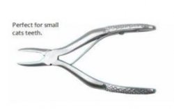 SMALL EXTRACTING FORCEP S/S By Dentalair